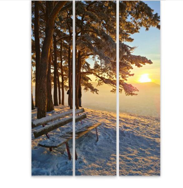 Flächenvorhang Traumplatz 3er Set, Schiebegardine, Schiebegardinen, blickdicht, Flächenvorhang blickdicht,